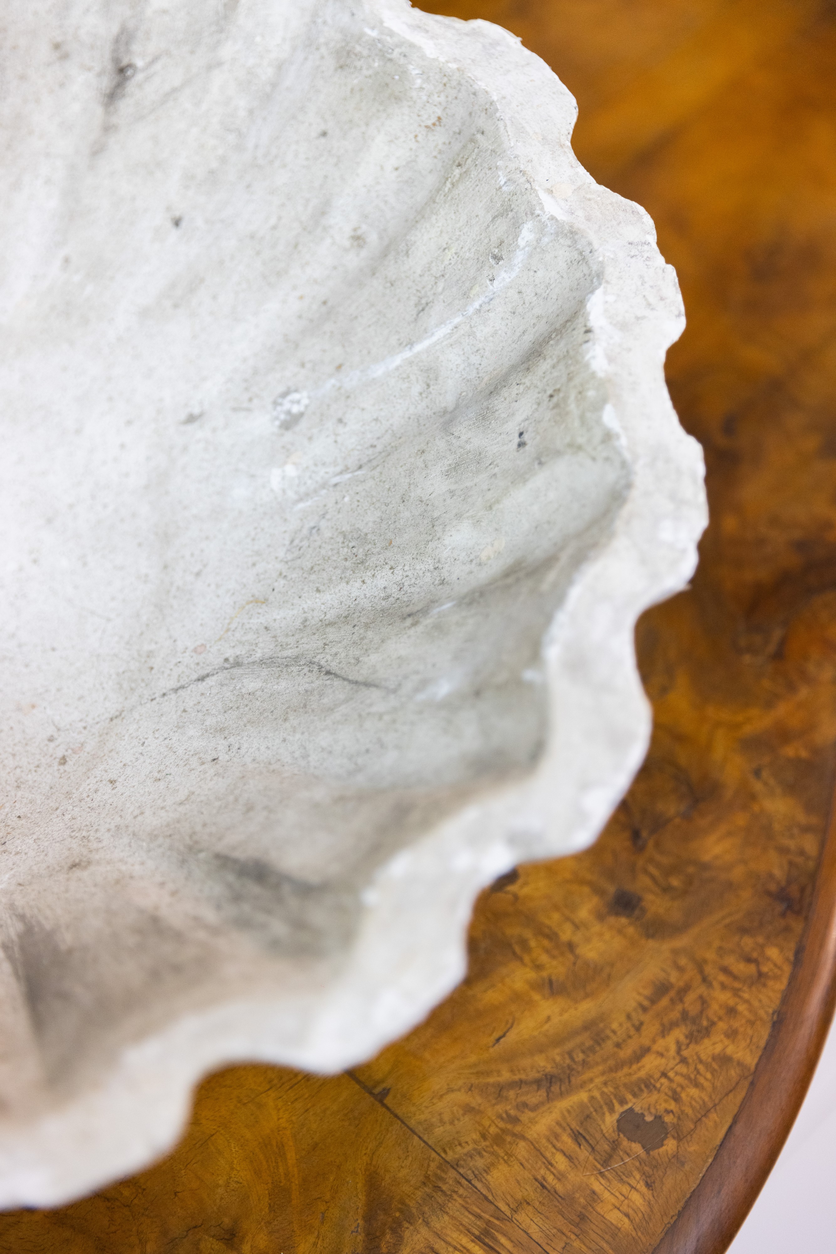 Coppia di acquasantiere in stucco caulino anni '40