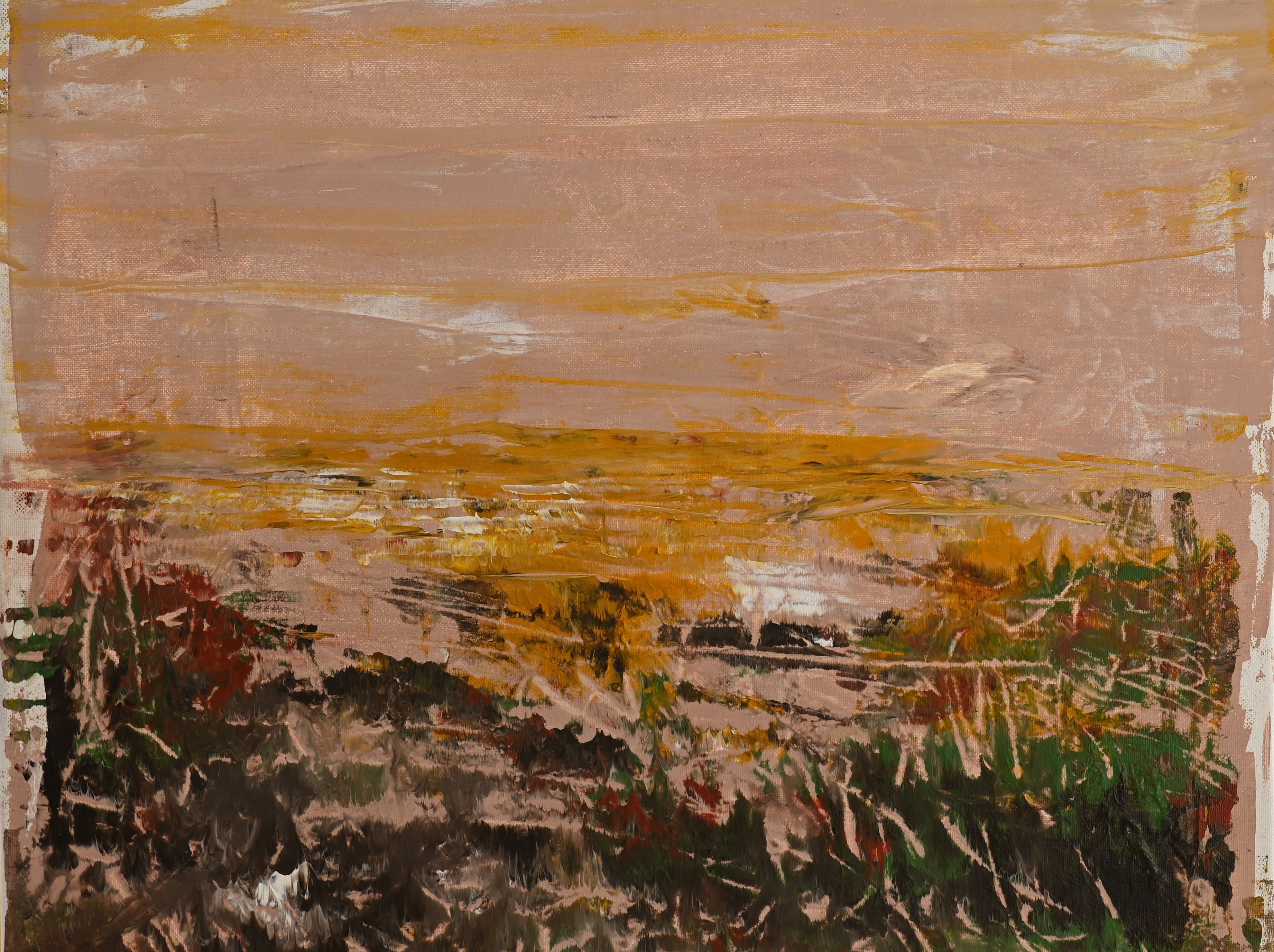 Paesaggio rosa quadrato