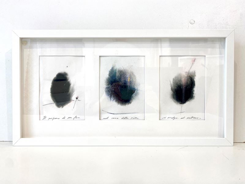 Il profumo di un fiore nel cuore della notte si rivolge al mattino