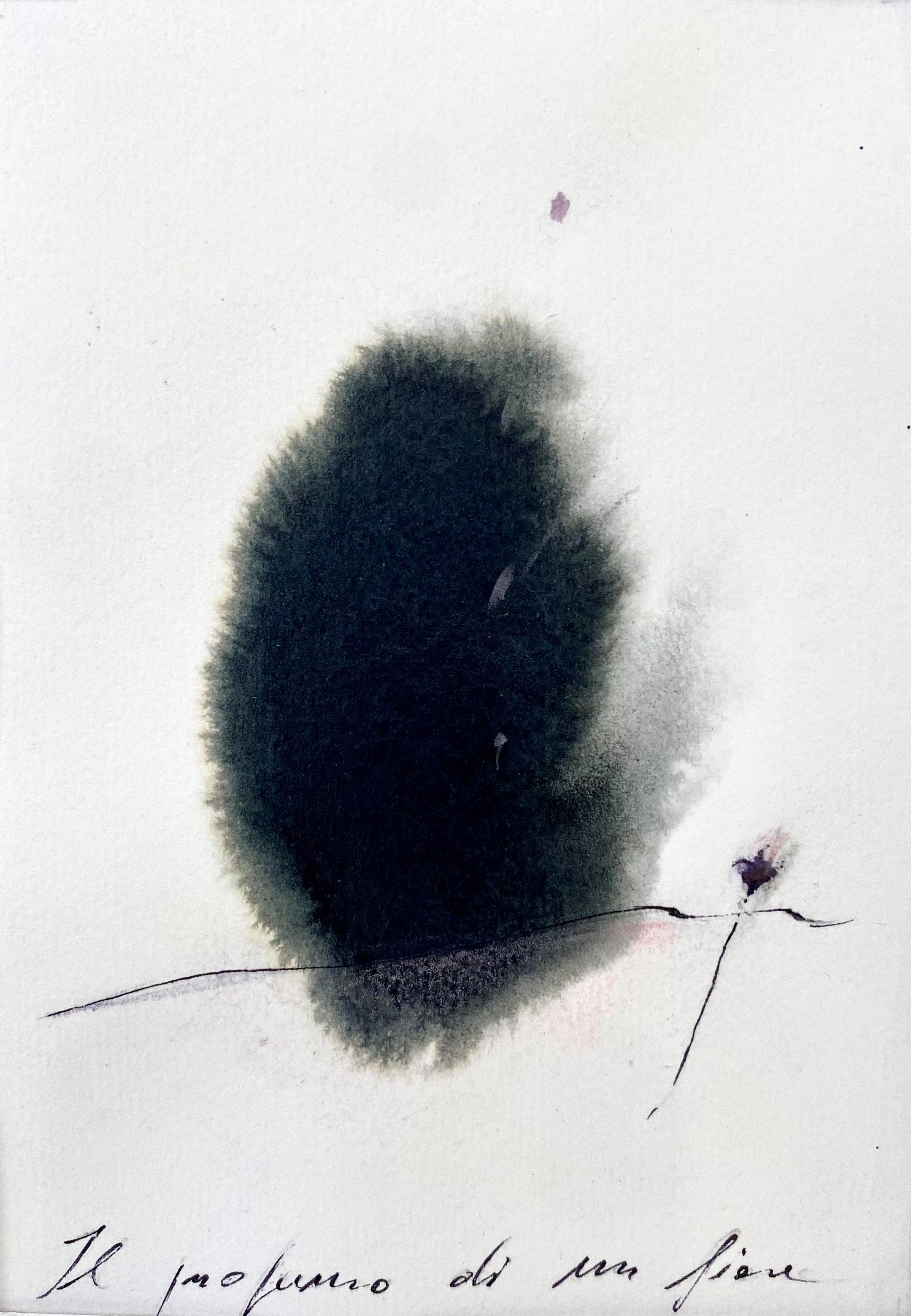 Il profumo di un fiore nel cuore della notte si rivolge al mattino