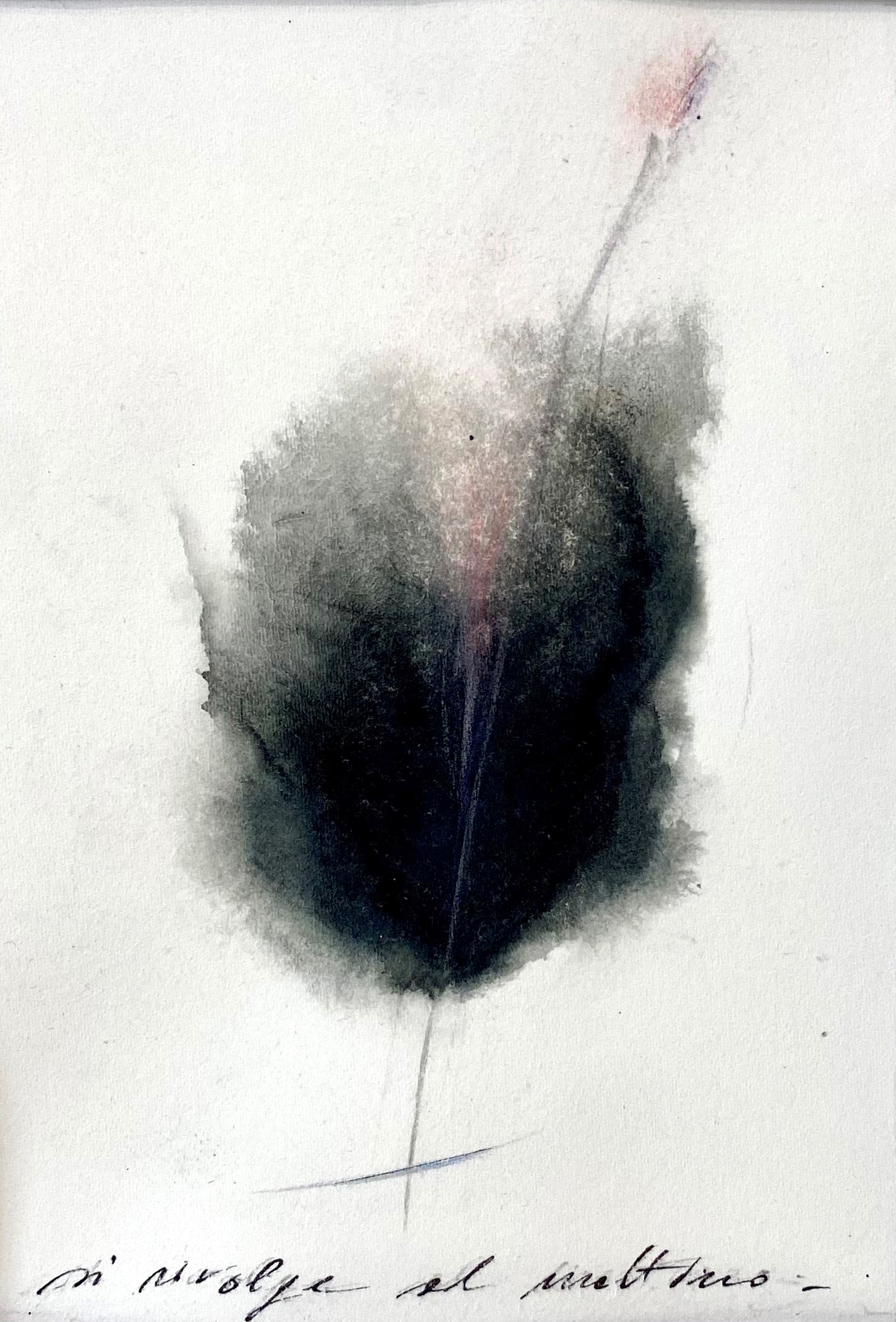 Il profumo di un fiore nel cuore della notte si rivolge al mattino